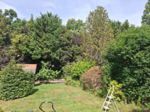 Garden-clearance-a-star-garden